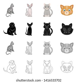 Vector design of pet and sphynx symbol. Set of pet and fun vector icon for stock.