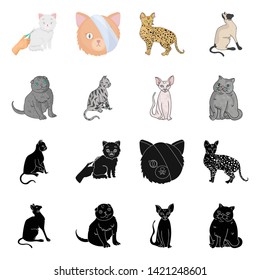 Vector design of pet and sphynx symbol. Set of pet and fun vector icon for stock.