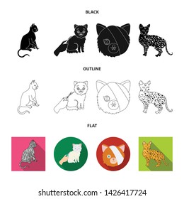 Vector design of pet and sphynx symbol. Set of pet and fun vector icon for stock.