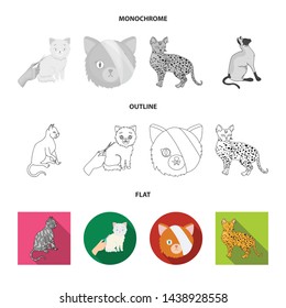 Vector design of pet and sphynx symbol. Collection of pet and fun stock symbol for web.