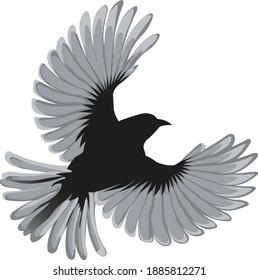 A vector design of a pigeon flying freely.