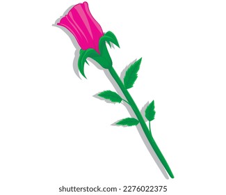 vector design of a pink flower with its petal buds still closed with green stalks or stems and four green leaves