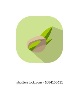 Vector design pistachio