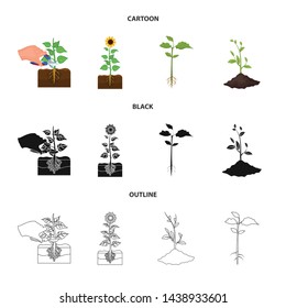 Vector design of plant and bean icon. Set of plant and process stock symbol for web.