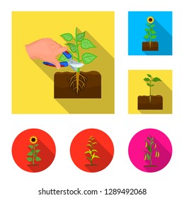 Vector design of plant and bean symbol. Collection of plant and process vector icon for stock.
