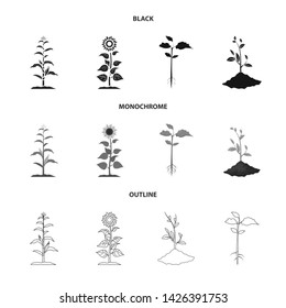 Vector design of plant and bean symbol. Collection of plant and process stock vector illustration.