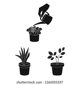 Vector design of plant and flower icon. Set of plant and pot vector icon for stock.