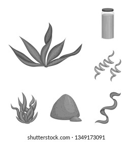 Vector design of plant and weed sign. Set of plant and sea vector icon for stock.