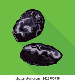 Vector design of plum  and dry logo. Collection of plum  and ripe vector icon for stock.