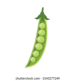 Vector design of pod and peas icon. Web element of pod and legume stock symbol for web.