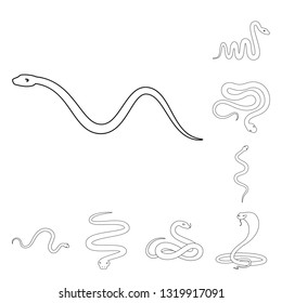 Vector design of poison and evil icon. Collection of poison and bite stock symbol for web.