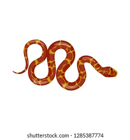 Vector design of poison and evil sign. Set of poison and bite stock symbol for web.