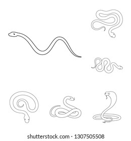 Vector design of poison and evil sign. Set of poison and bite stock vector illustration.