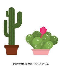 Vector design of potted indoor decoration plants