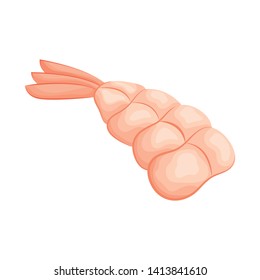 Vector design of prawn  and creature  sign. Collection of prawn  and fresh  vector icon for stock.