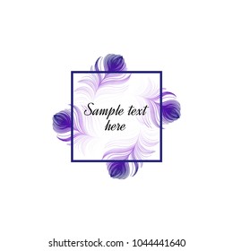 vector design of promo poster with peacock feather