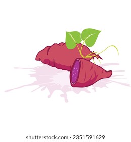 Vector Design of Purple Sweet Potato