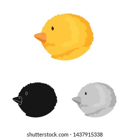 Vector design of rabbit and face icon. Collection of rabbit and animal vector icon for stock.