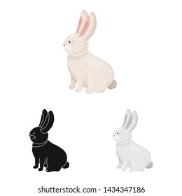 Vector design of rabbit and pet icon. Set of rabbit and bunny vector icon for stock.