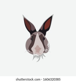 vector design of a rabbit's head funny