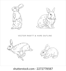Vector design of a rabitt-hare in line art style flat art