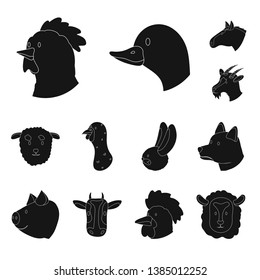 Vector design of ranch  and organic  logo. Set of ranch  and head vector icon for stock.