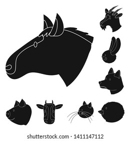 Vector design of ranch  and organic  symbol. Collection of ranch  and head vector icon for stock.