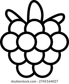 Vector Design Raspberry Rhapsody Icon Style