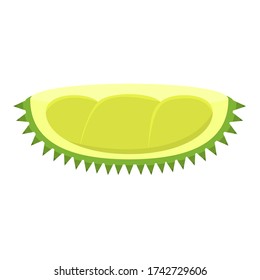 Vector design of a realistic durian icon