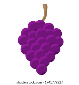 Vector design of a realistic grape icon