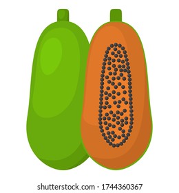 Vector design of a realistic papaya icon