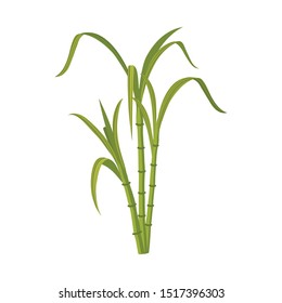Vector design of reeds and leaf icon. Web element of reeds and sugar stock symbol for web.