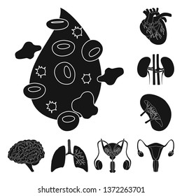 Vector design of research and laboratory icon. Collection of research and organ stock vector illustration.