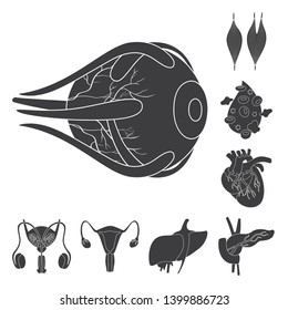 Vector design of research and laboratory symbol. Set of research and organ vector icon for stock.