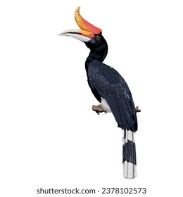 Vector design of Rhinoceros Hornbill perch on a branch