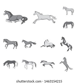Vector design of riding and mustang logo. Collection of riding and equestrian stock symbol for web.