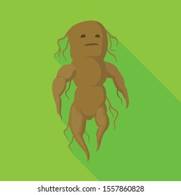 Vector design of root and plant symbol. Web element of root and mandrake stock vector illustration.