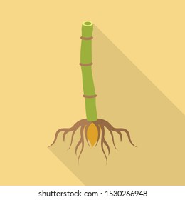 Vector design of root and sugar sign. Graphic of root and cane vector icon for stock.