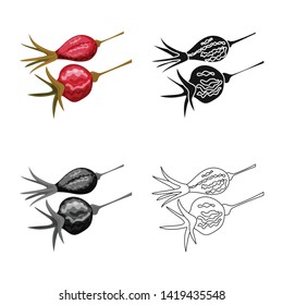Vector design of rose and dry sign. Collection of rose and botany  stock symbol for web.