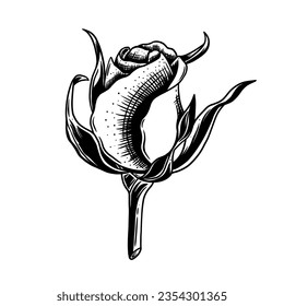 Vector  design rose flower. Good for tshirt design, tattoo art, print art, etc.