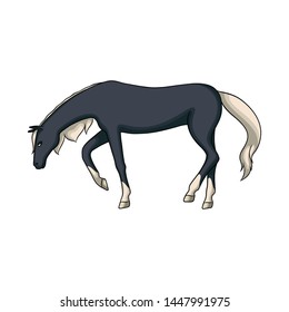 Vector design of running and horse symbol. Set of running and hoofed stock vector illustration.