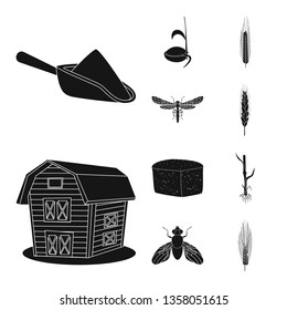 Vector design of rye and plant  icon. Set of rye and corn vector icon for stock.