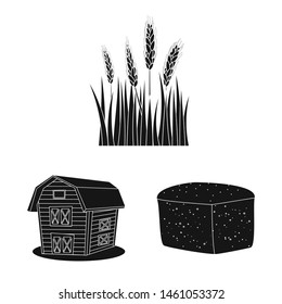 Vector design of rye and plant icon. Set of rye and corn vector icon for stock.
