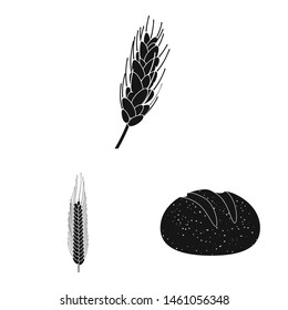 Vector design of rye and plant icon. Set of rye and corn stock symbol for web.