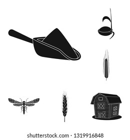 Vector design of rye and plant  logo. Set of rye and corn vector icon for stock.
