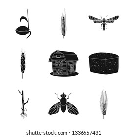Vector design of rye and plant  logo. Set of rye and corn stock symbol for web.