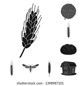 Vector design of rye and plant  logo. Set of rye and corn vector icon for stock.