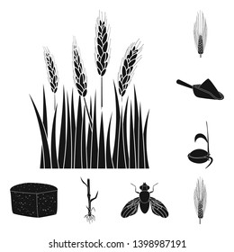 Vector design of rye and plant  sign. Set of rye and corn stock vector illustration.