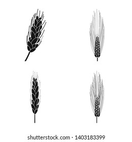 Vector design of rye and plant  sign. Collection of rye and corn vector icon for stock.