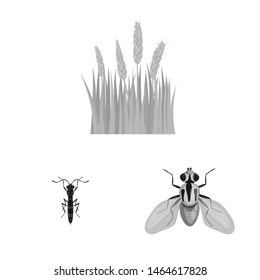Vector design of rye and plant sign. Collection of rye and corn stock vector illustration.